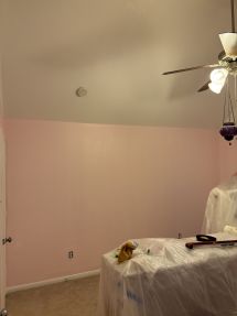 Interior Painting in Houston, TX (2)